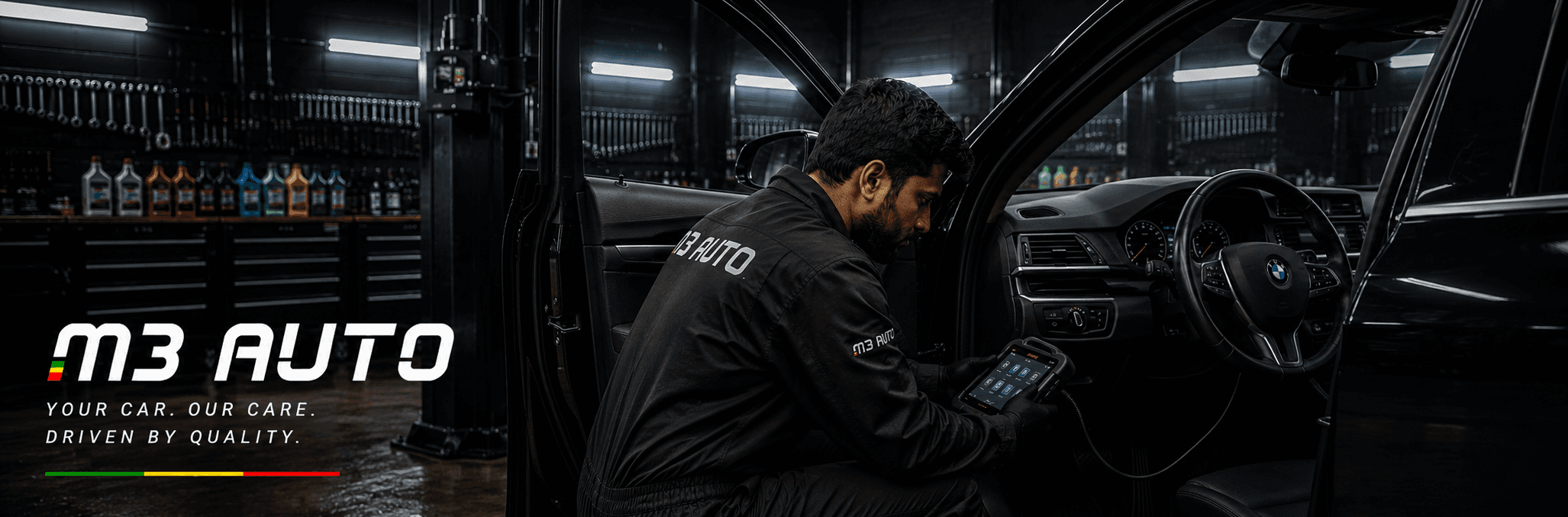 Electronic Vehicle Diagnostics